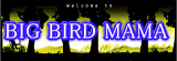 静岡県 藤枝市 ローライダーウェア ショップ BIG BIRD MAMA